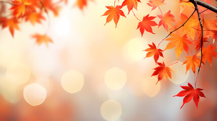 Naklejka na ściany i meble Autumn leaves form a beautiful background