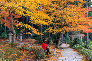 Woman enjoying the vibrant fall colors in a Japanese temple garden. - 770750479