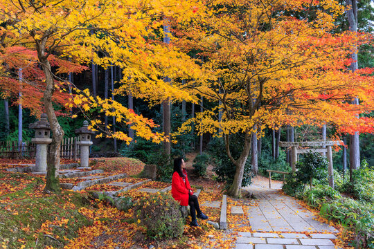 Woman enjoying the vibrant fall colors in a Japanese temple garden.