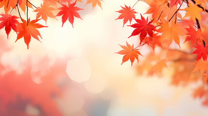 Fototapeta premium Autumn leaves form a beautiful background