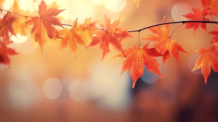 Fototapeta premium Autumn leaves form a beautiful background