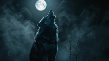 Schilderijen op glas Shadowy figure of a werewolf howling on a full moon night © Anuwat
