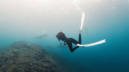 Underwater photographer takes picture of manta ray. Freediver with camera films Giant ocean Manta Ray swimming over reef. Nusa Penida, Bali, Indonesia - obrazy, fototapety, plakaty