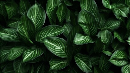 Striped green leaves background - obrazy, fototapety, plakaty