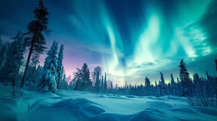 Crédence de cuisine en verre imprimé Aurores boréales Beautiful aurora northern lights in night sky with snow forest in winter.
