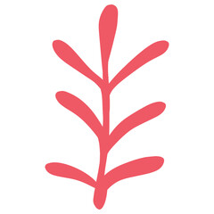 Obraz premium Isolated pink seaweed in transparent background.