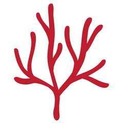 Obraz premium Isolated red seaweed in transparent background.