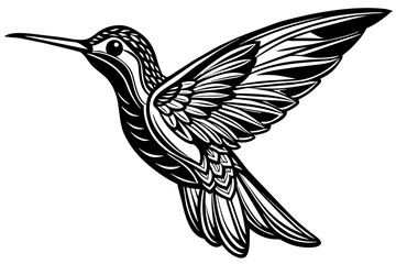  hummingbird-vector-illustration