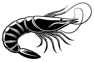shrimp-vector-illustration