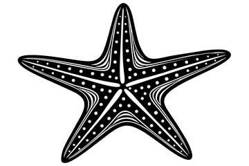  starfish-vector-illustration