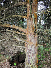 Paisajes Volcán Quilotoa 