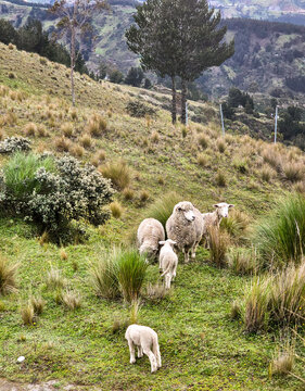 Paisajes Volc&aacute;n Quilotoa 