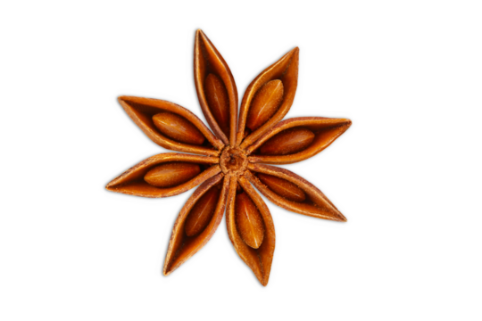 star anise spice isolated in cutout transparent background,png format  
