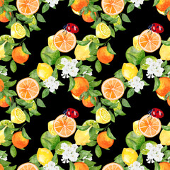 Seamless pattern watercolor with citrus orange lime lemon fruit with ladybug background