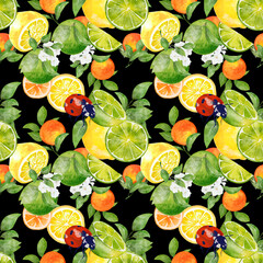 Seamless pattern watercolor with citrus orange lime lemon fruit with ladybug background
