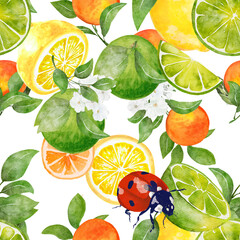 Seamless pattern watercolor with citrus orange lime lemon fruit with insect background
