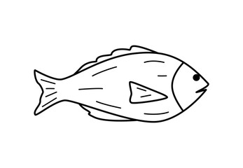 Sea fish or river doodle icon. Vector illustration of a carp, dorado, isolated on white. - 770761860
