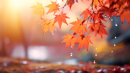 Naklejka na ściany i meble Charming autumn scenery