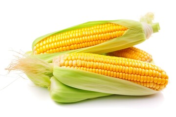 Fresh yellow corn isolated on plain white background