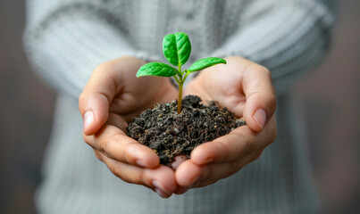 Careful hands holding a young green plant sprout with soil, symbolizing growth, care, and environmental conservation.