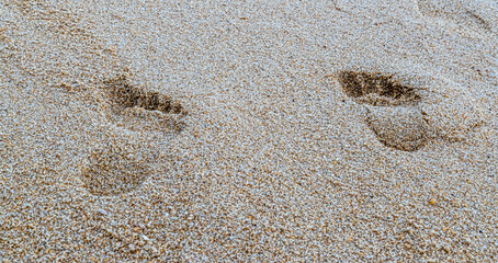 close up photography on the white beach sand with footprint