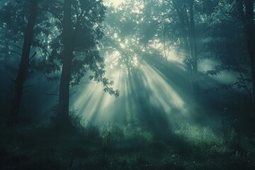 The mysterious and enchanting atmosphere of a misty forest at dawn, with rays of sunlight piercing through the trees. - obrazy, fototapety, plakaty