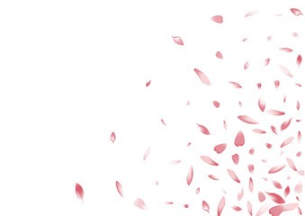 2400x170013__Pudra_sakura3_01.eps