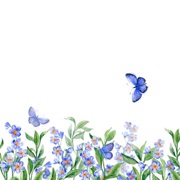 Bottom border of Forget-me-not  and Butterflies