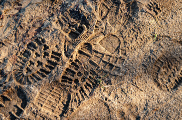 shoe print in the mud
