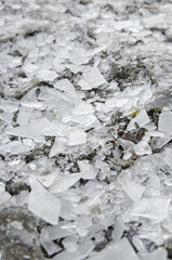 broken white ice on the ground in winter