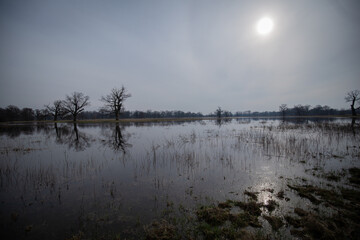 dark landscape with lake and cloudy sky with sun