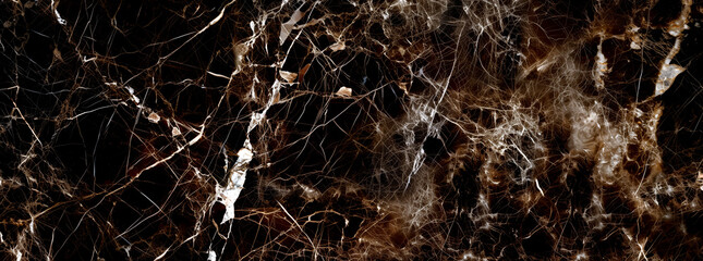 Fototapeta premium Marble Dark Emperador - Texture