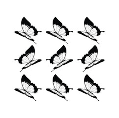 Heart of butterflies Valentine's day card. Tawny Orange Monarch Butterfly design hand drawn daisy flower design.