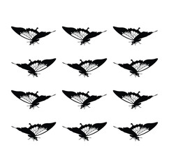 Heart of butterflies Valentine's day card. Tawny Orange Monarch Butterfly design hand drawn daisy flower design.