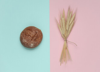 Bun and spikelets of rye on a pink blue background
