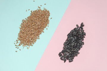 Wheat grains and sunflower seeds on a blue-pink background