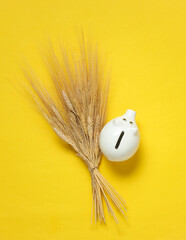 Dry wheat spikelets and piggy bank on a yellow background