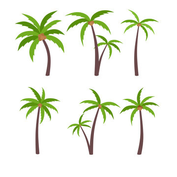 Coconut tree icon vector illustration. Vector icon of palm tree for graphic resource. Coconut palm tree for seascape, beach, desert and landscape