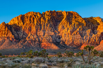 Naklejka premium Red Rocks National Park 