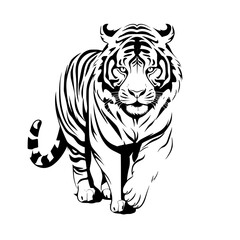 tiger