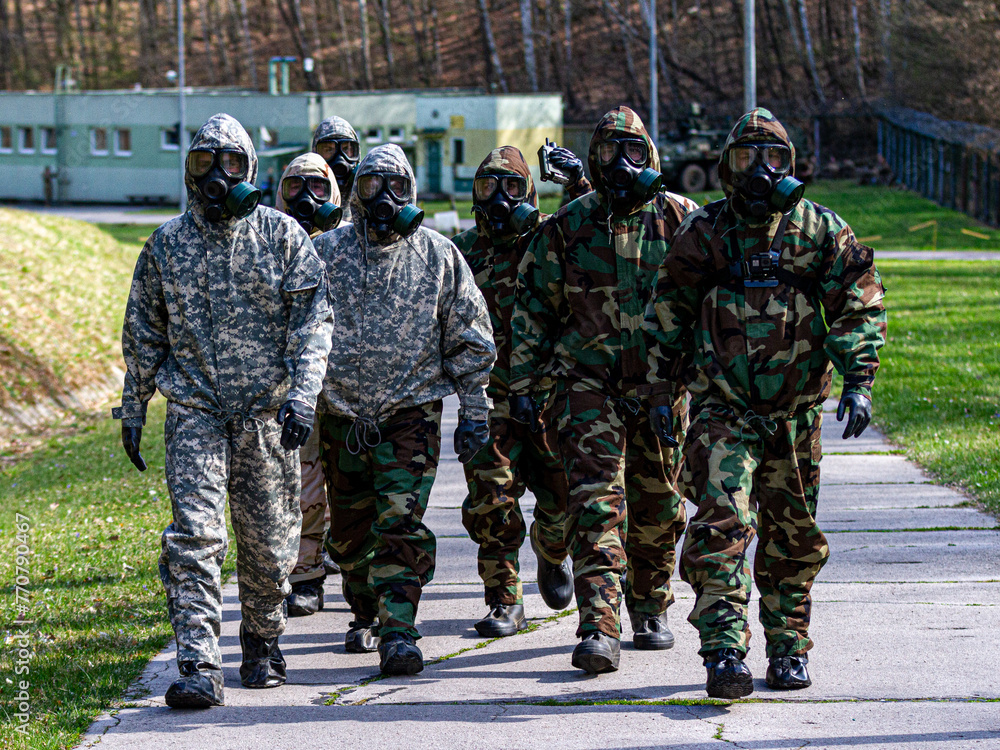 Wall mural A group of soldiers in camouflage gear walk down a path