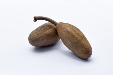 Mahogany tree fruit isolated on white, Mahogany fruit is a traditional herbal medicine