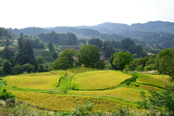 儀明の棚田（新潟県）