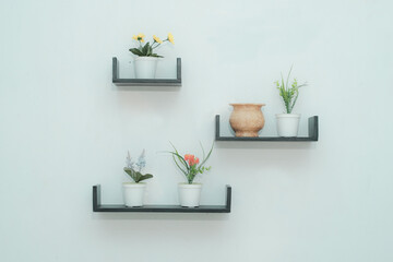 Wooden shelves with beautiful plants, alarm clock, toy cars and books on a light wall