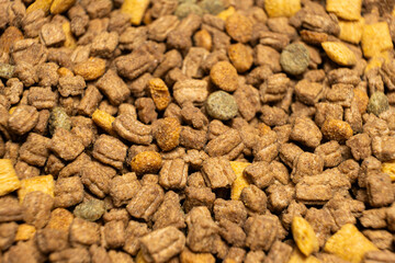 Dry food for kittens and cats close-up. A complete cat diet