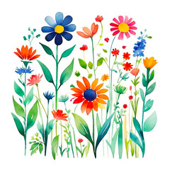 Summer’s Symphony: A Watercolor Floral Ensemble. This image showcases a vibrant collection of summer flowers, painted with watercolor on a pristine white background. 
