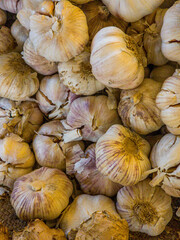 A bunch of Garlics placed in sunlight. Lehsan in Urdu.