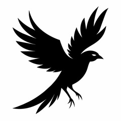 eagle vector illustration