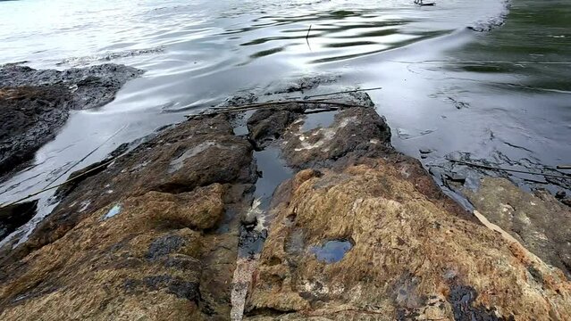 Crude oil Water pollution releasing Toxic chemicals on offshore beach sea harming marine Ecosystem