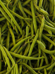A bunch of Radish Pods placed in sunlight. Moongray in Urdu.